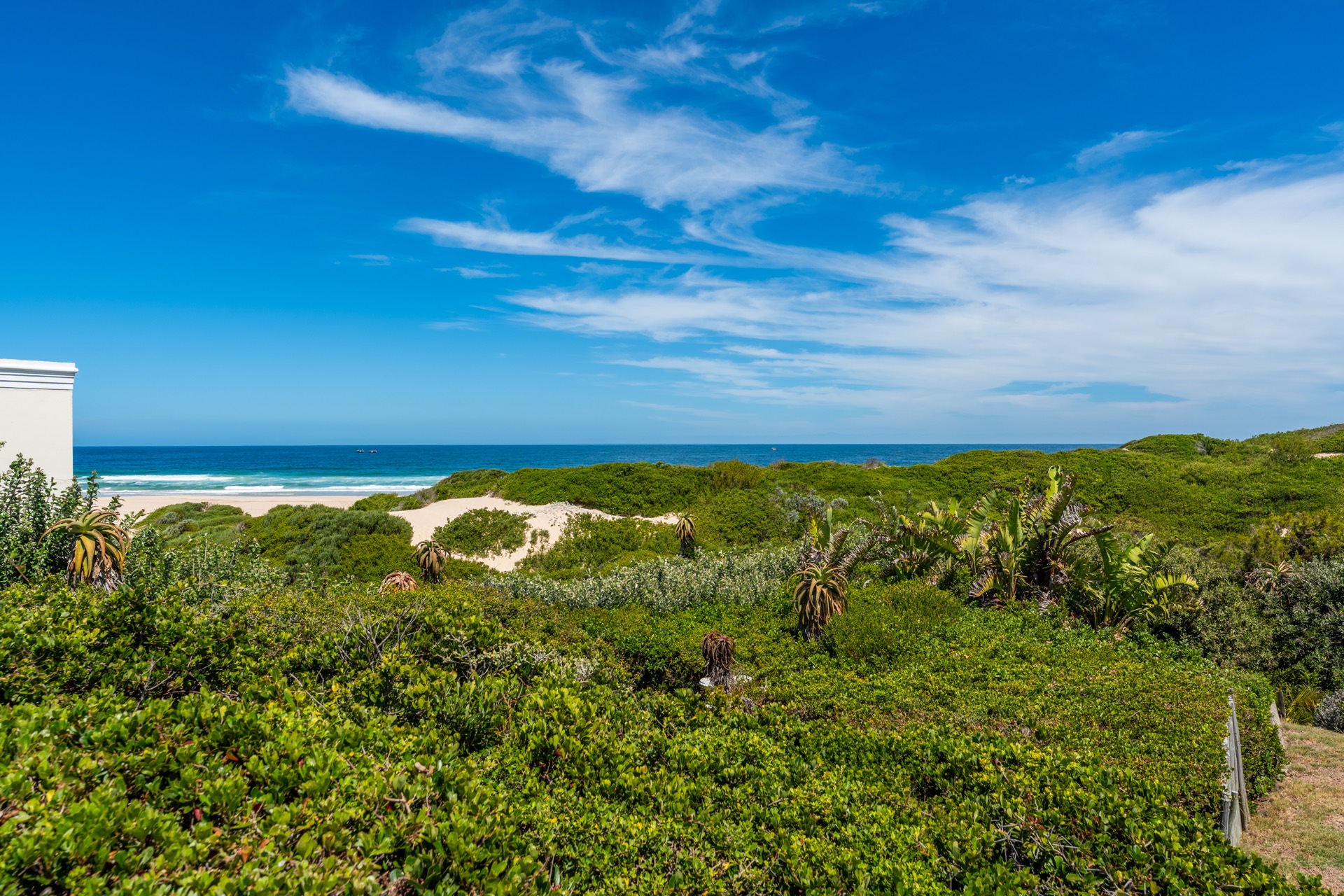 Cape St Francis beach and dunes